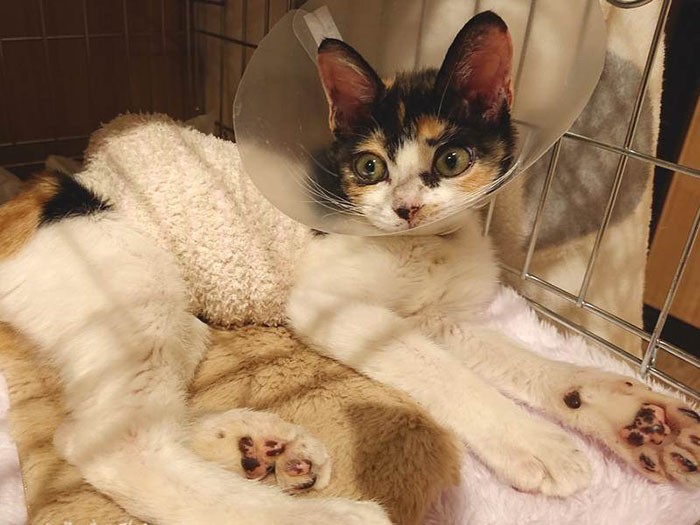 胃ろう生活2カ月目のこもも