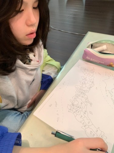 日本地図を勉強する一華ちゃんの服の中に入るチム「あたしはどこで生まれたのかにゃ」「東京」(優香さん提供)