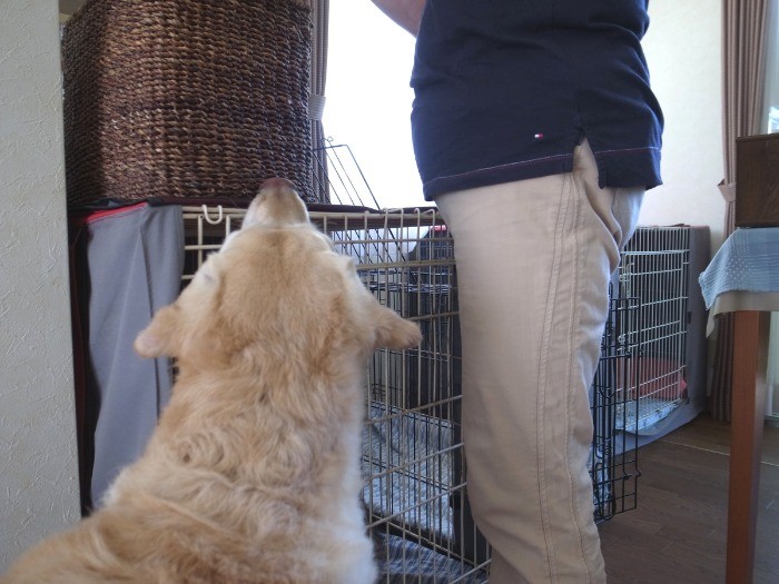 おやつはまだですか?