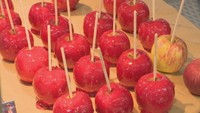 専門店の「りんご飴」など 東京の人気グルメや工芸品を集めた物産展が開催中 岡山市