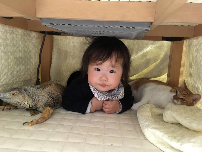 息子さんと、猫のなな(右)、イグアナの空(左)(えりさん提供)