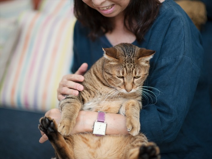 「お母さん、お客さんの前で恥ずかしいよ」(小林写函撮影)