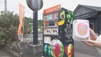 農家が「マンゴーの自販機」を設置 コロナ禍と原油高で「とにかく経費かかりすぎ」 香川・三豊市