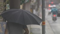 なぜ香川県は台風被害が小さい?過去最も早く発生した1号は? 高松地方気象台に聞く「台風」の疑問【みんなのハテナ】