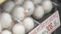 卵の価格が高騰 1パック300円超に…2023年のエッグショックに迫る高値、猛暑が影響か