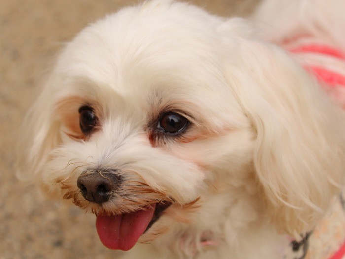 笑顔のナツちゃん