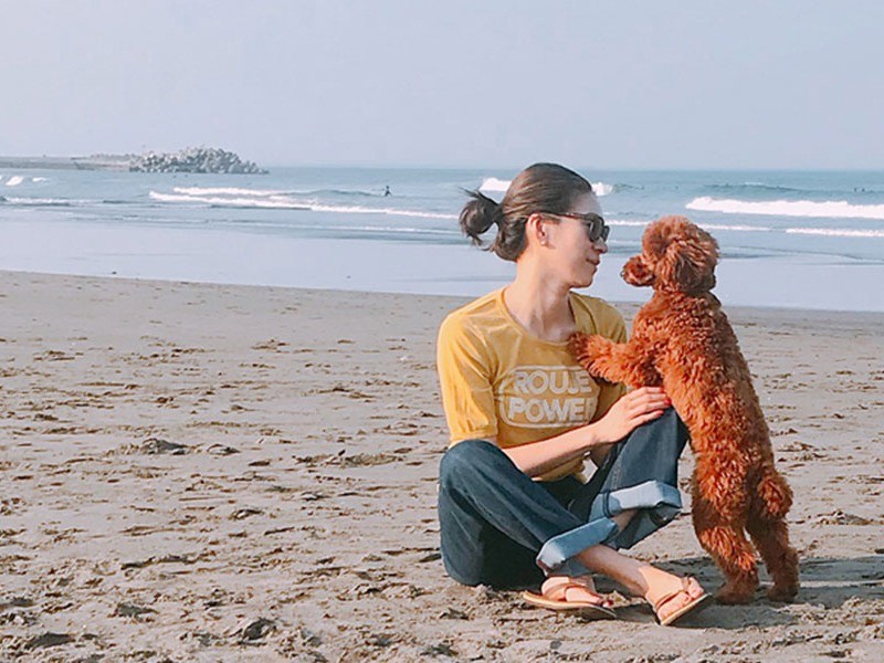 休日は犬とともに海へ行きます