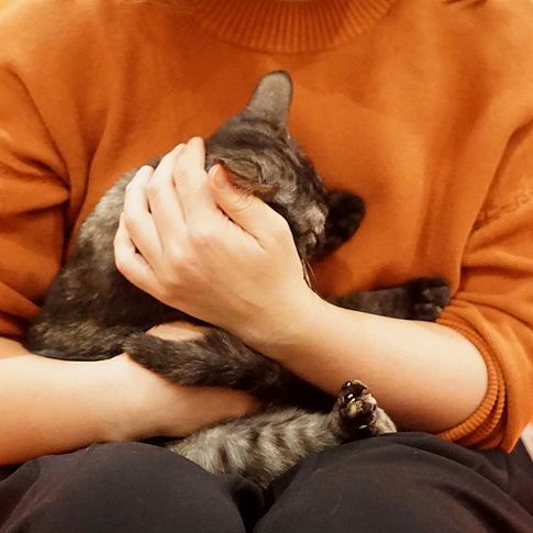 幼い頃から猫アレかなと思っていた堀井さん。改めて調べたらダニやノミに対する症状だったという。「掃除も大事」