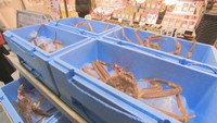 鳥取の松葉ガニが特急列車でやってくる! JR岡山駅で販売「即日輸送でより新鮮なものを」