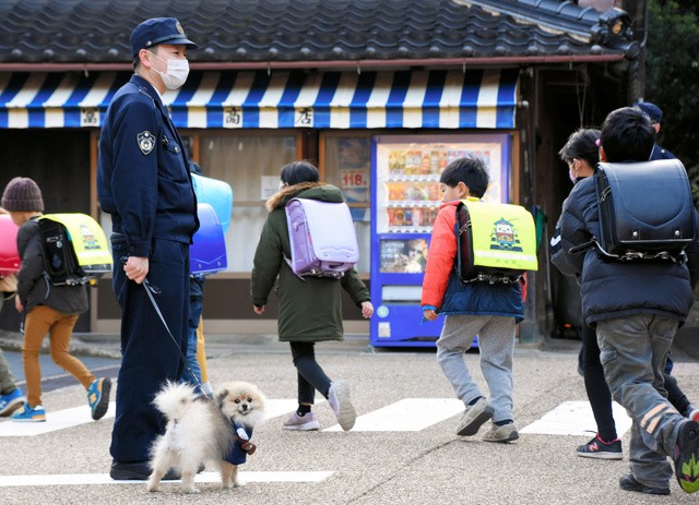 飼い主の中川祐一巡査部長と一緒に小学校や保育園前で見守り活動をする「むぎ」=2021年3月4日朝、京都府伊根町、白見はる菜撮影