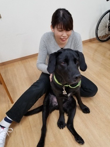 こちらも研修中のハチと向野さん。犬は研修中であっても常にリラックス