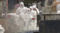 また香川で新たに鳥インフルエンザ…過去最多約85万羽のニワトリを殺処分へ