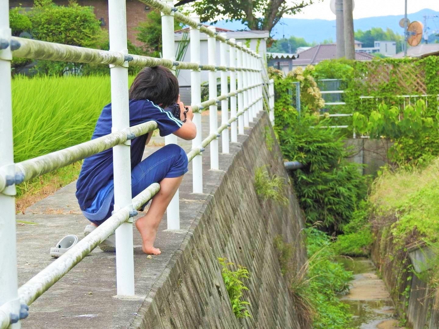 野鳥に惚れた小学生、半年で32種類を撮影! 母や姉も影響受け家族の趣味に