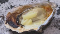 プリップリですっごくジューシー!旬のカキをたくさん食べて 香川・さぬき市志度