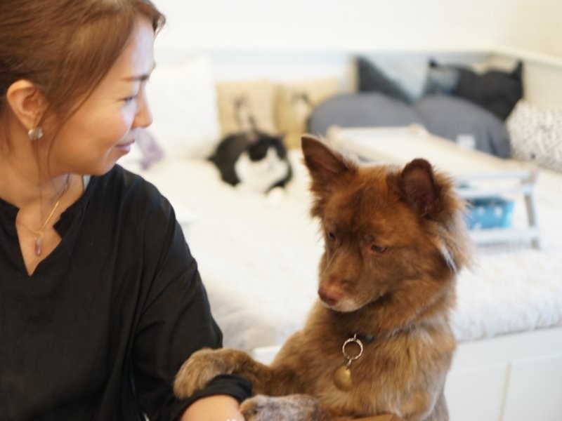 tekoさんの腕に前足を乗せるクリパ「あのね、猫の皆から伝言があるよ。ありがとうっていってるよ」