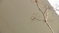 23日朝は各地で冷え込み 岡山県北部では25日にかけて大雪の可能性 JR西日本は因美線・伯備線の一部を計画運休