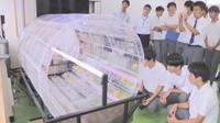 魚と野菜を同時に育てる循環型農法「アクアポニックス」 岡山市の高校生が挑戦!