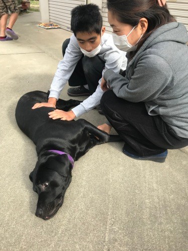 お母様とお兄さん。このご家庭に来た犬は細かいことを気にしないおおらかな性格