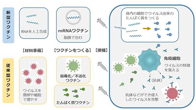 ワクチンの仕組み