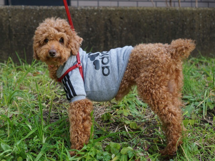 つらい過去を超えて穏やかなお顔