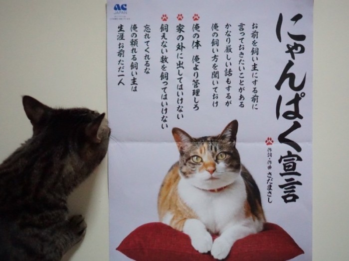 「姉ちゃん、部屋にポスター貼って毎日みているよ」