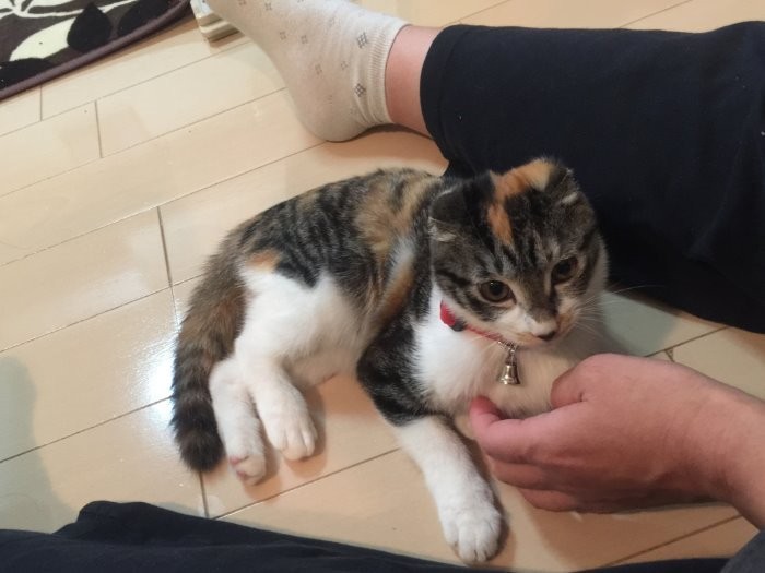 寿子さんの足の間で遊ぶ小さなたれぞう