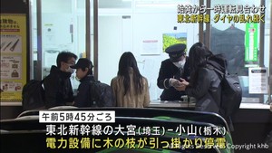 東北新幹線 停電で一時運転見合わせ ダイヤの乱れが続く