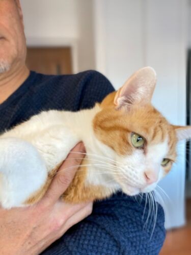 「大きな手で抱っこされるの大好きBy天」(千鶴子さん提供)