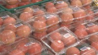 連日の猛暑で…夏野菜が安く!特にトマトは例年の約7割 「冷たいおかず」も人気 香川