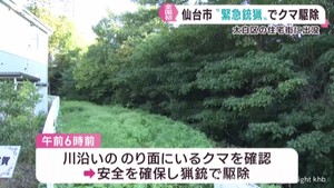 全国初の緊急銃猟 仙台・太白区の住宅街に出没したクマを猟銃で駆除