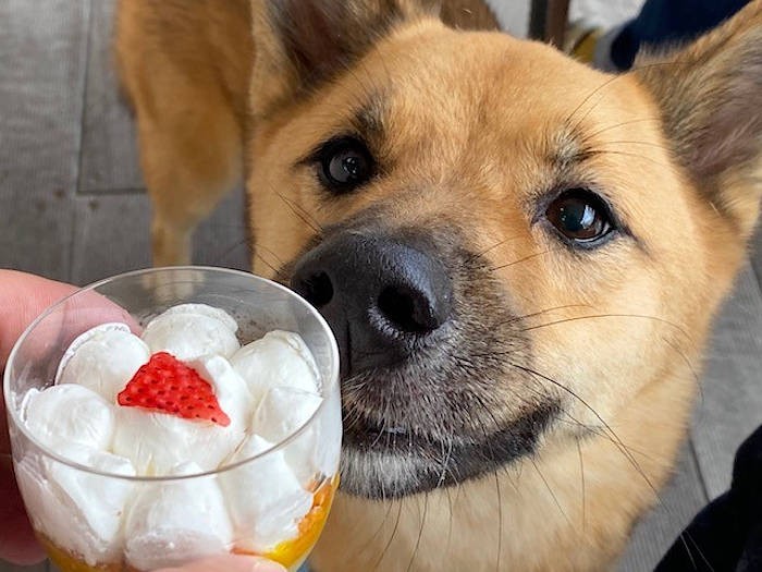 鼻の穴、開いちゃってます(笑)