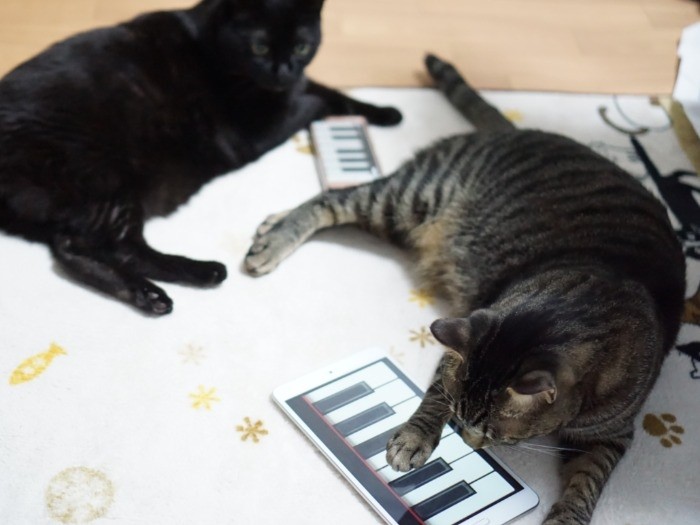 よしイヌオ、二人で合わせようぜ