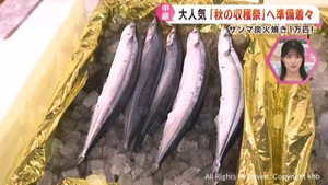 秋の味覚サンマを味わう おながわ秋の収穫祭 宮城・女川町で12日に開催