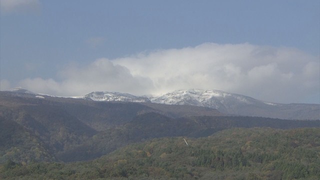 【速報】蔵王で初冠雪を観測