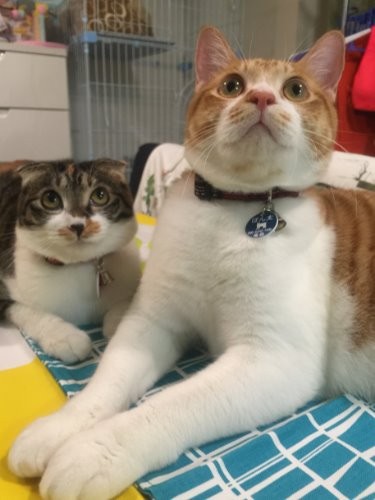 この通り、家でもずっと一緒 「一緒でよかったね」