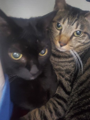 狭いところでくっつくことが前以上に増えました