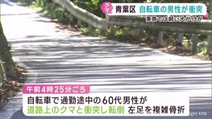 クマの被害相次ぐ 仙台・青葉区で自転車に衝突し男性が骨折 宮城・栗原市では応戦した飼い犬が負傷