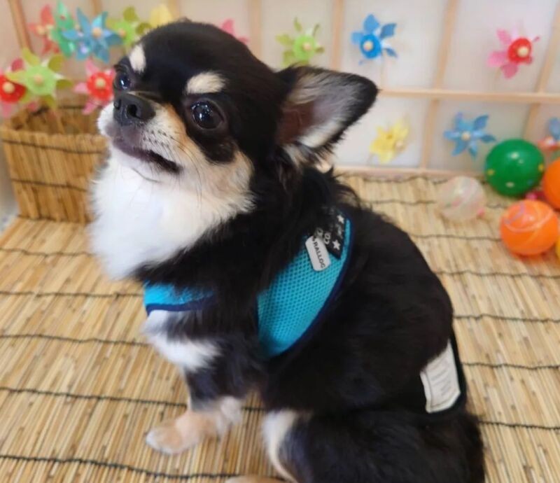ソラ