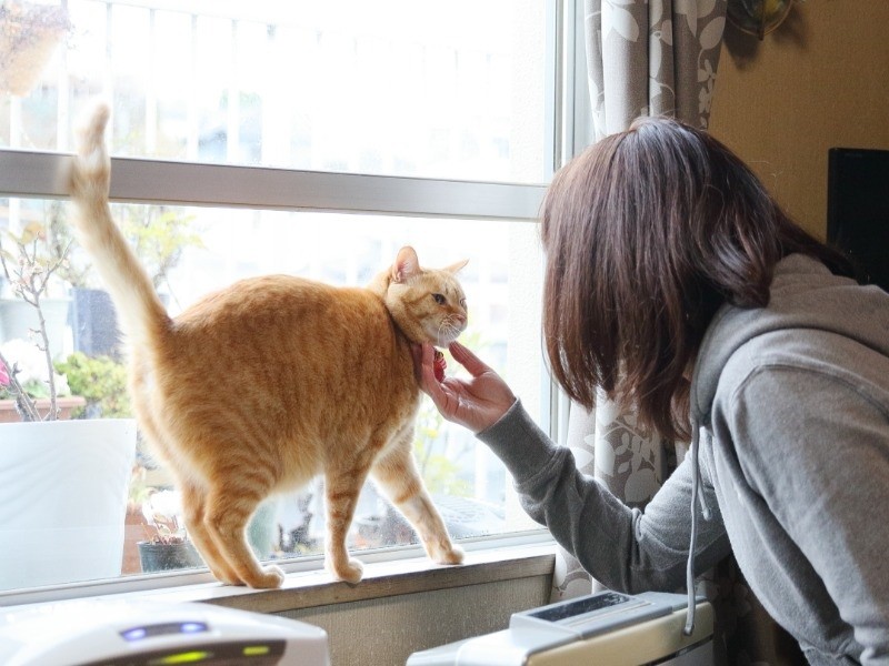 「またすぐに来るわね」ぐらに話しかけるあつえさん