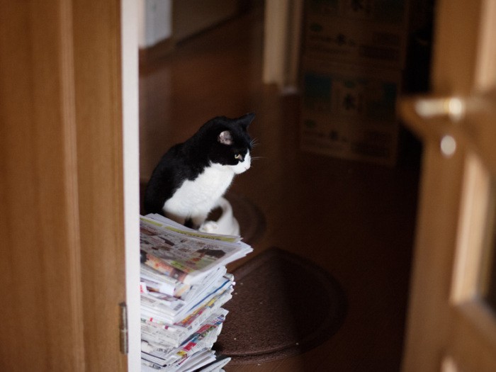 「両手がふさがるから、トイレで新聞読めないんだ」(小林写函撮影)