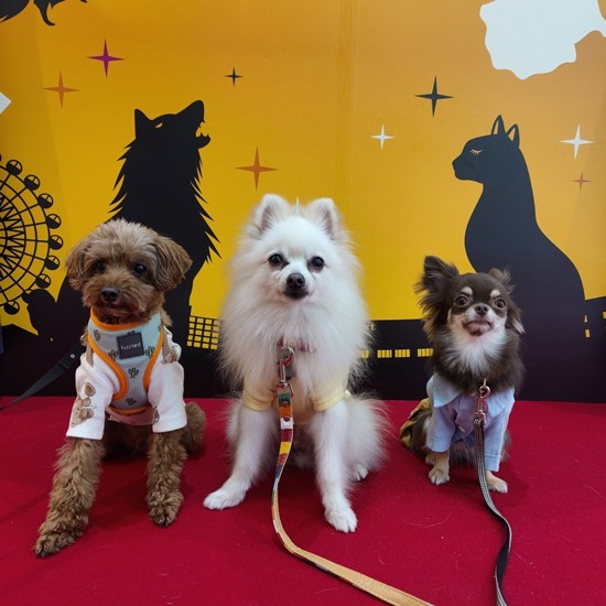 みんなでおしゃれをしてポーズ!(お母さん提供)