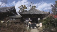 香川県さぬき市の志度寺 創建1400年記念事業の秋会期を10月4日から開催