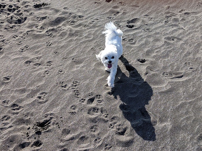 大はしゃぎのムーちゃん