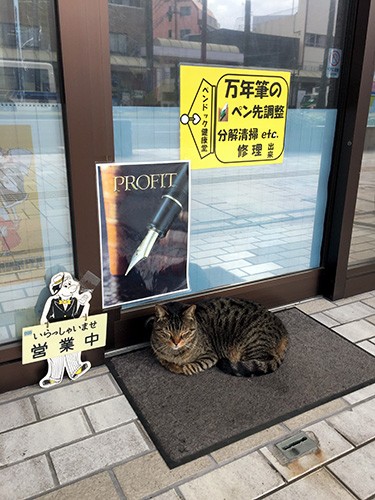 店の前でたたずむロク=2018年3月、宮崎市橘通東2丁目、大村久撮影