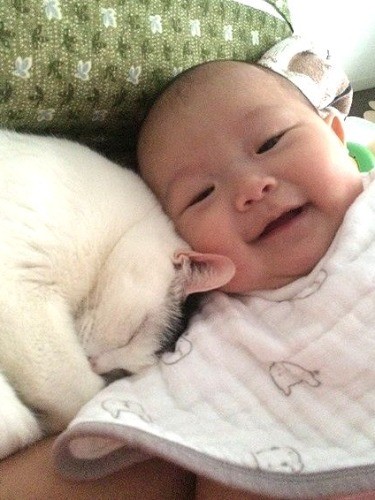 赤ちゃんと寄り添って眠るゴマくん