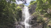身も心も涼やかに…「滝」のそばで夏のひとときを 香川・三豊市【いまココ!ナビ】