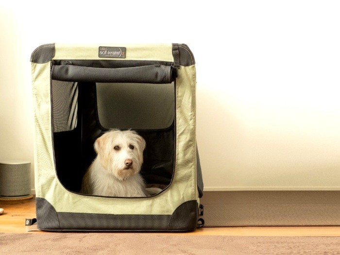 クレートとマットは出かけ先でも安心できる居場所(井上祐子撮影)