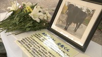 「パワーをもらえる存在だった」奇跡の牛・元気くん天国への旅立ちに惜しむ声 献花台を設置 岡山・勝央町