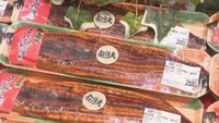 土用の丑の日 2024年は超特大ウナギが人気「シェアしてお買い得に」 香川