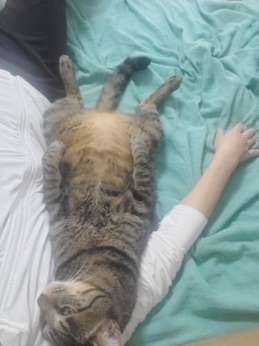 「痩せたほうが腕枕も痛くないはずだよ」